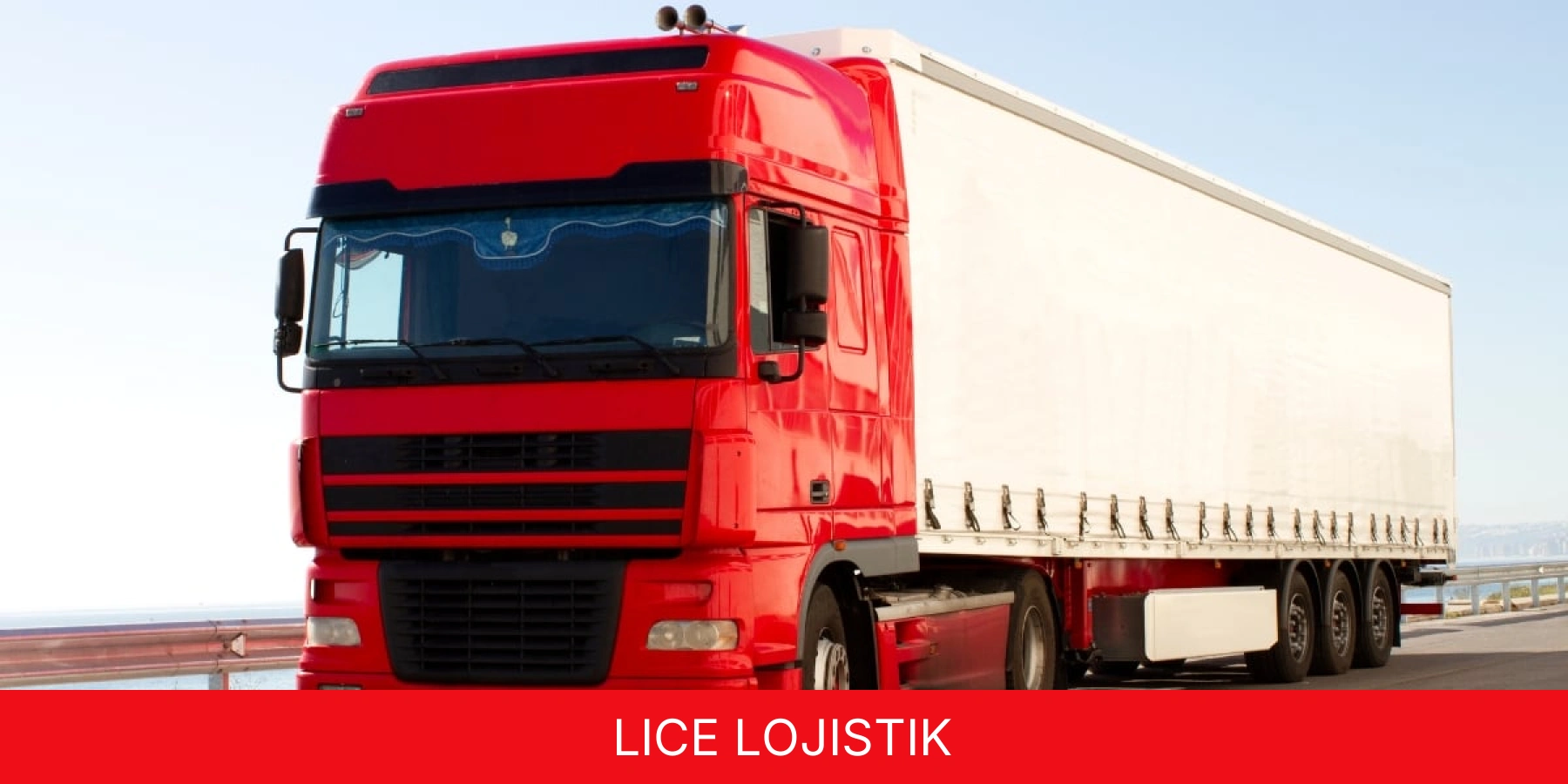 Lice Lojistik