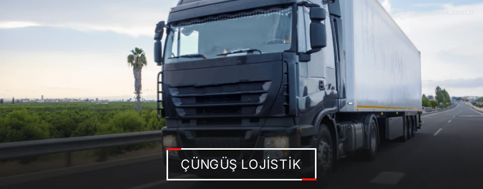 Çüngüş Lojistik