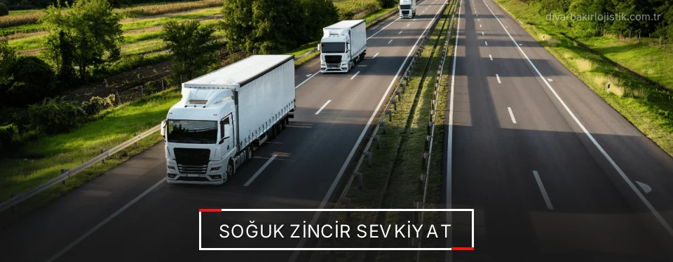 Diyarbakır Frigo Taşımacılık Firmaları