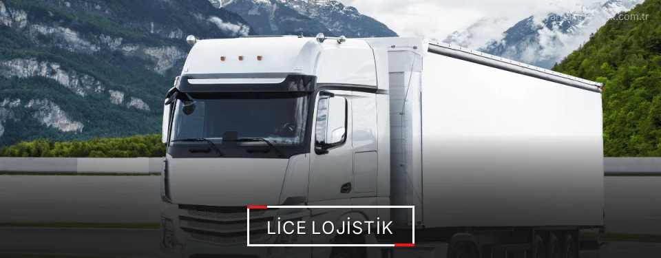 Lice Lojistik Kargo