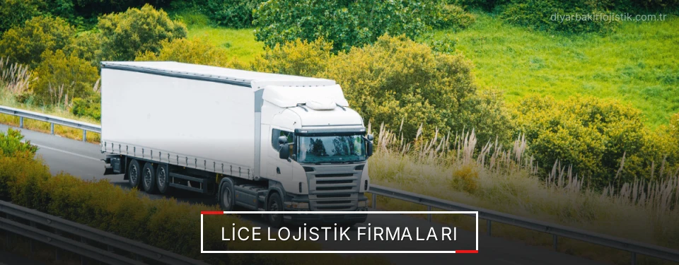 Lice Lojistik Taşımacılık
