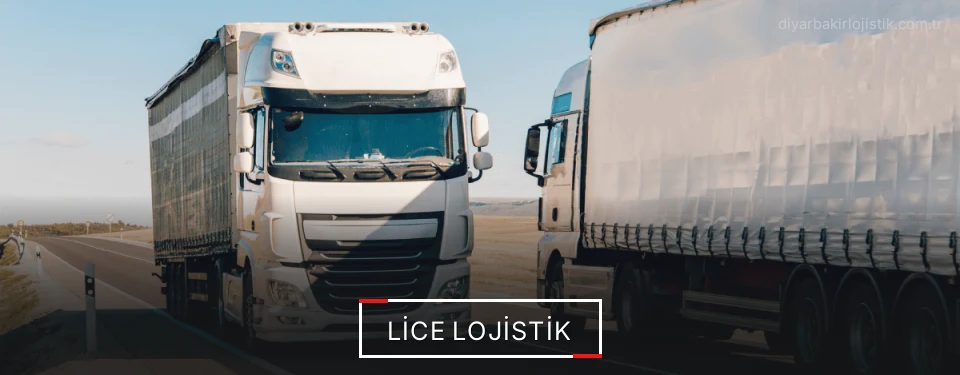 Lice Lojistik